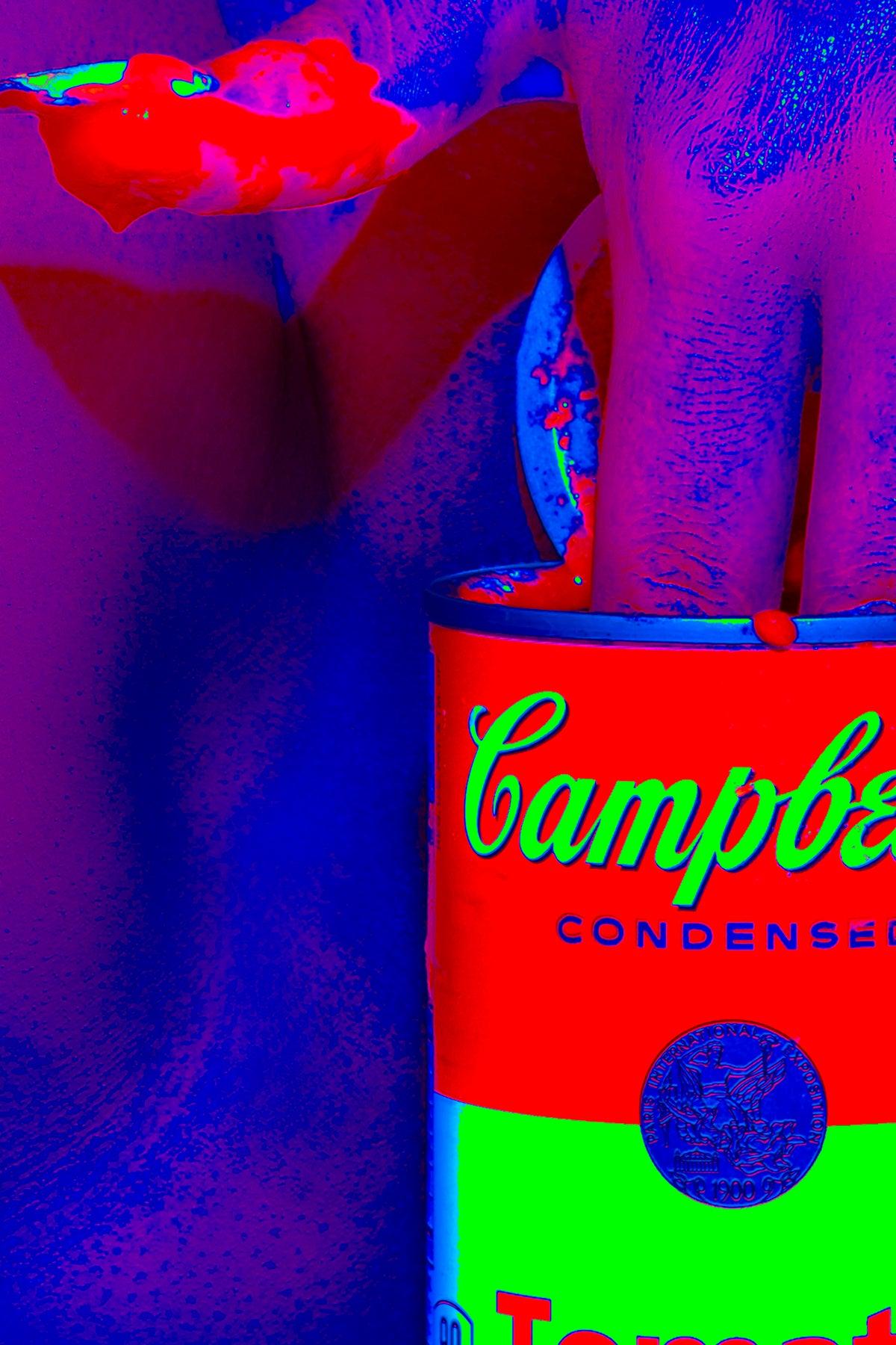 CAMPBELLS SOUP - ACEOFLA