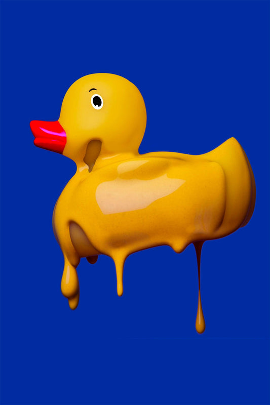 UGLY DUCKLING - ACEOFLA