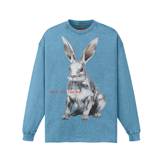 FOLLOW THE RABBIT LONG SLEEVE FADED T-SHIRT