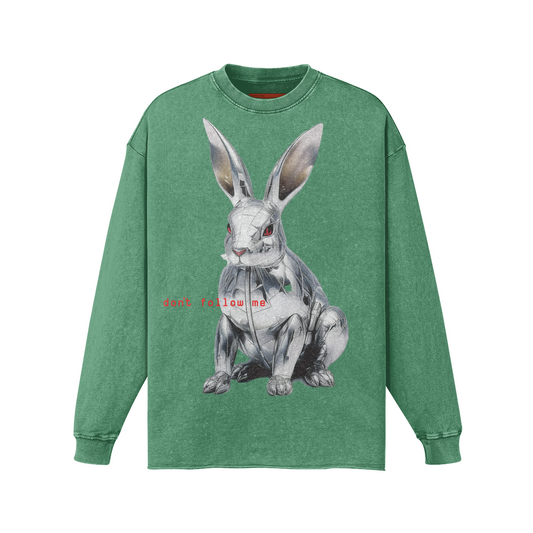FOLLOW THE RABBIT LONG SLEEVE FADED T-SHIRT